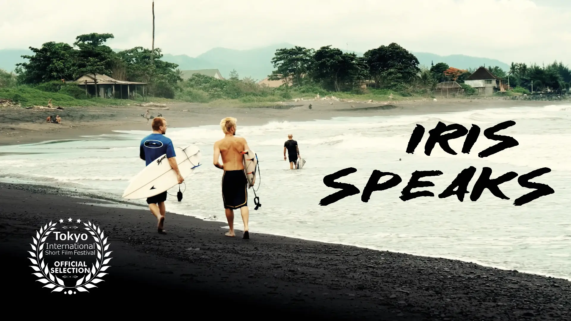 Iris SpeaksFilm editor